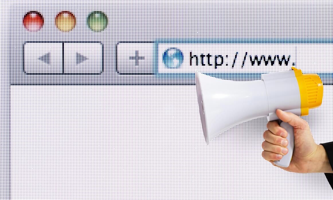 Domain Registration & Hosting project reference