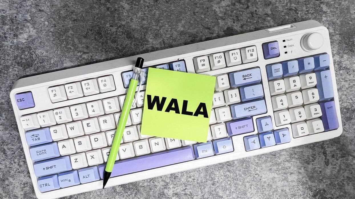 Domain Registration & Hosting project reference