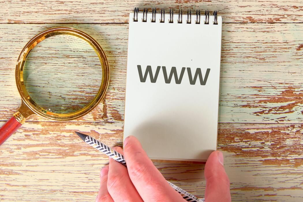 Domain Registration & Hosting project reference